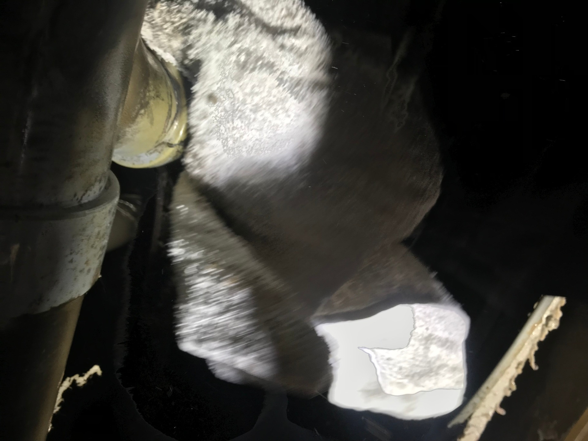 高崎　マンション　漏水現場応急処置対応　後日リフォーム