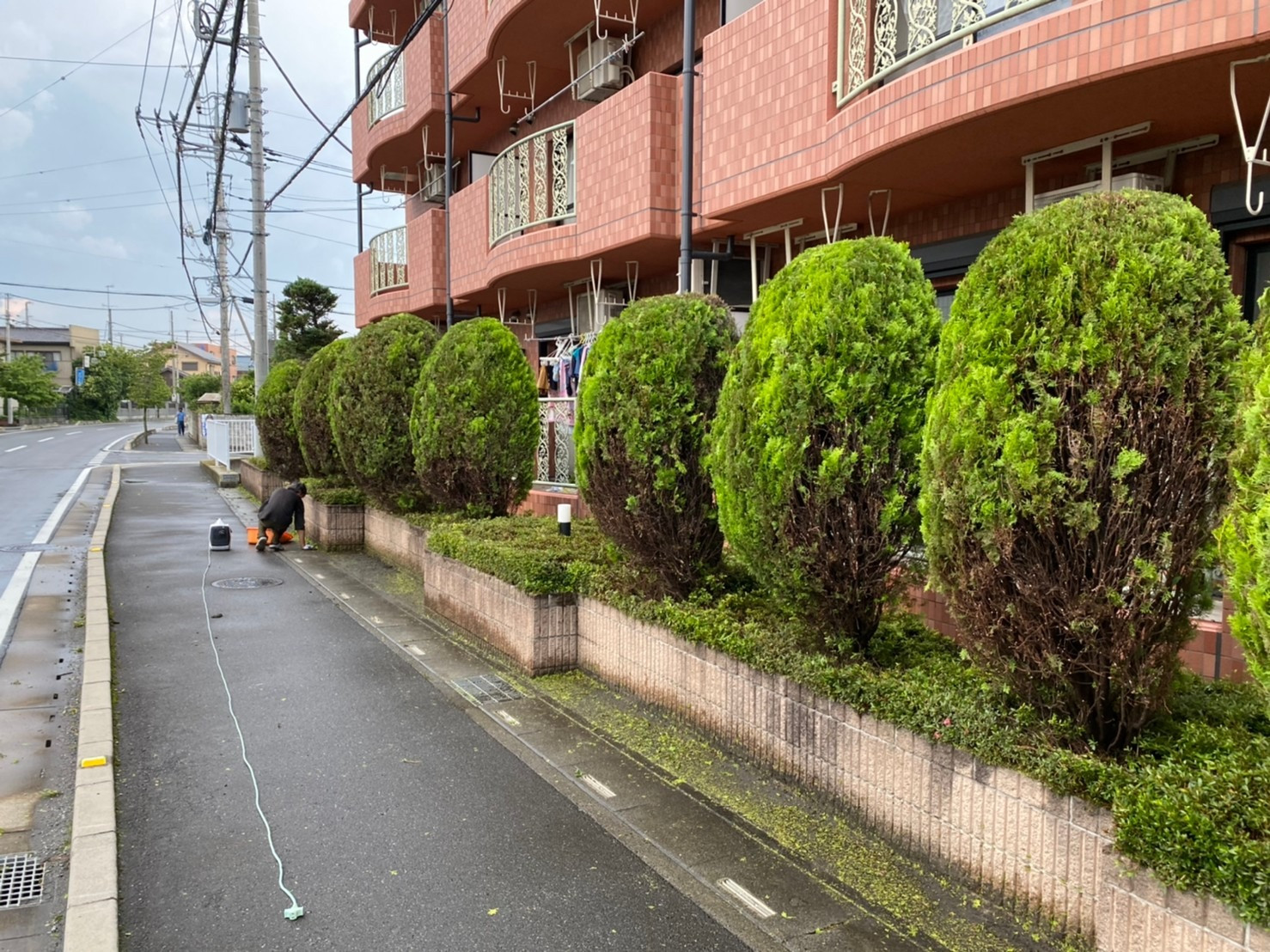 リフォーム　高崎　剪定