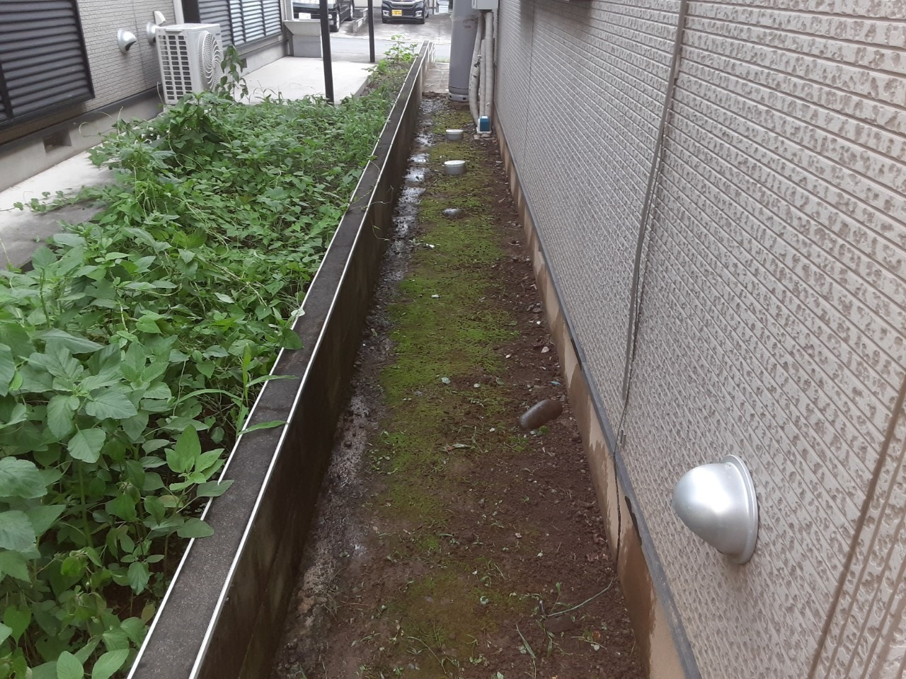 リフォーム　高崎　除草作業