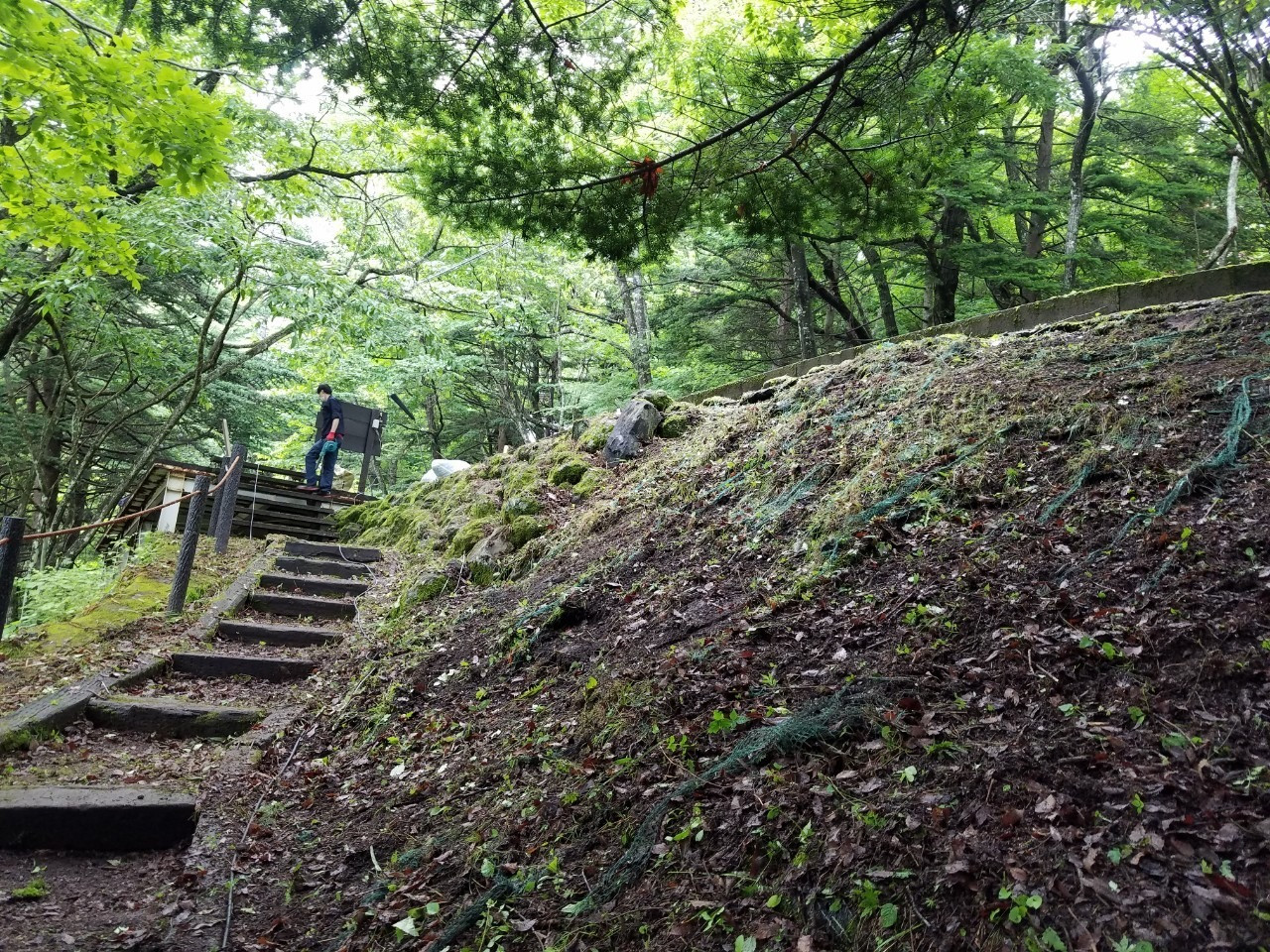 リフォーム　高崎　除草作業