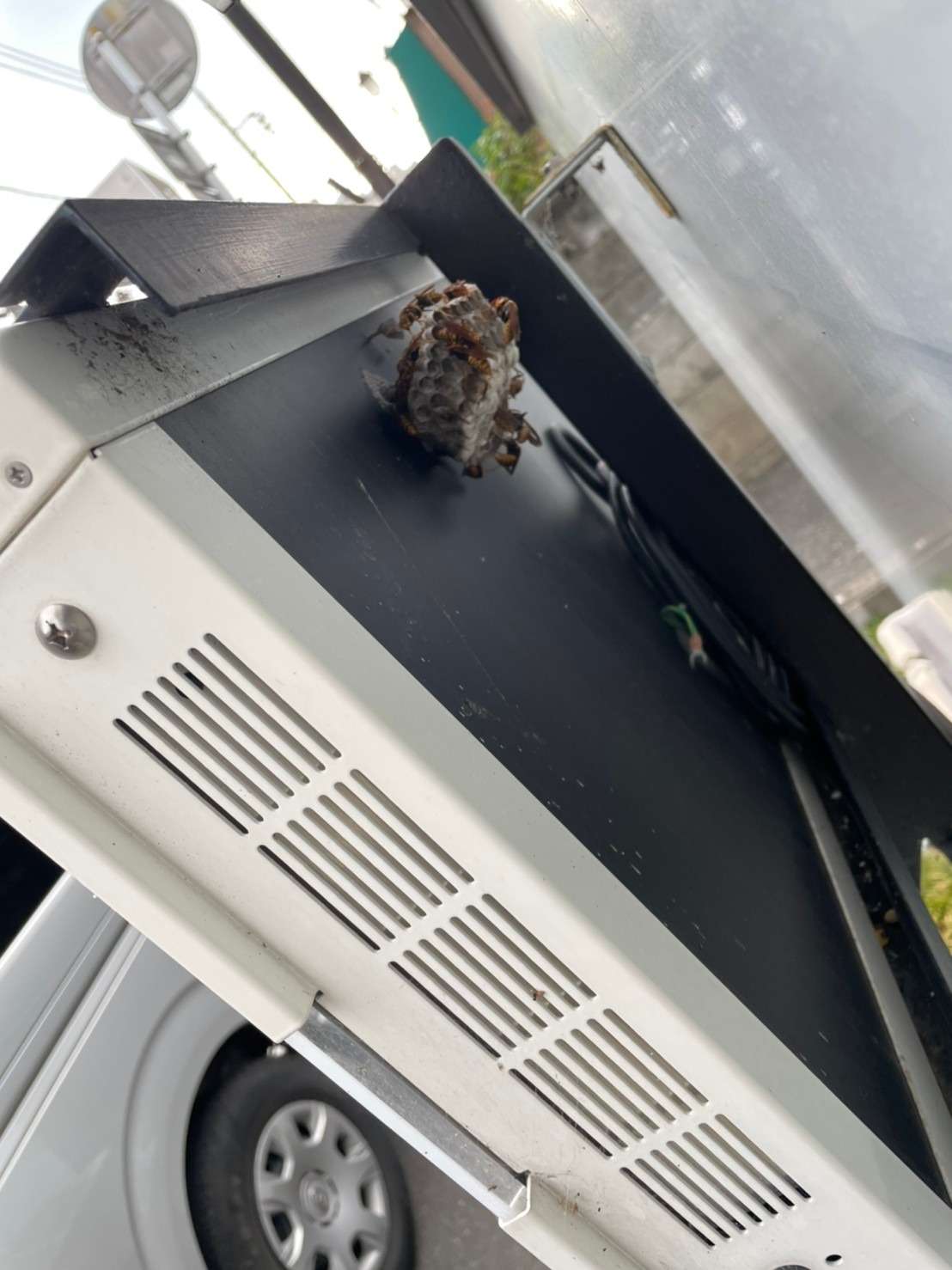 高崎　リフォーム　蜂の巣駆除