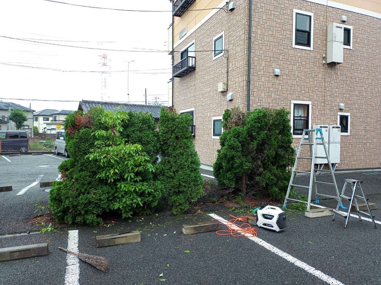 高崎　リフォーム　剪定